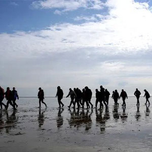 内政部扣留所有计划送往卢旺达的寻求庇护者