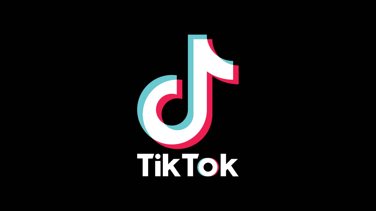 tiktok downloader
