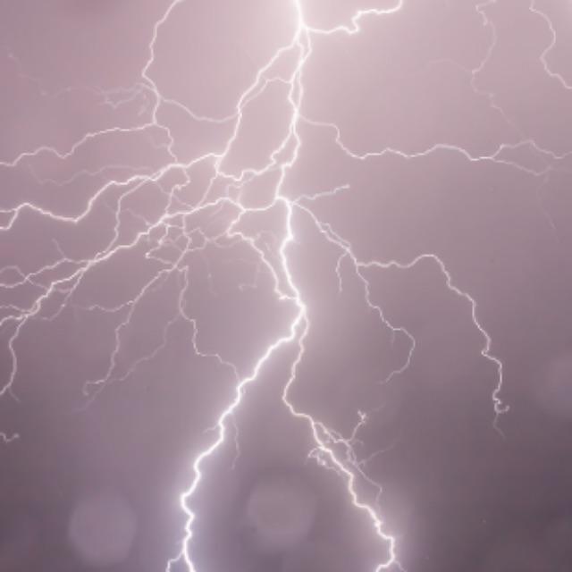 为什么电鳗不会被自己的电电到？