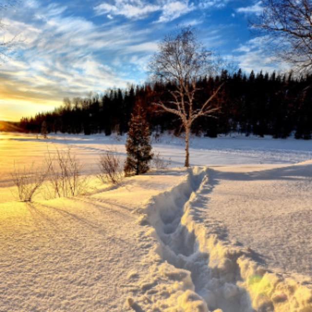 瞎扯 · 如何正确地吐槽