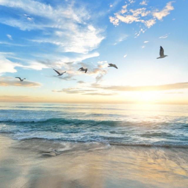 瞎扯 · 如何正确地吐槽