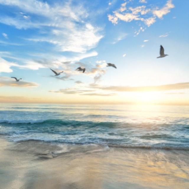 氮气占空气含量 78%，但为什么生物进化到今天是呼吸氧气而不是氮气？