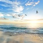 瞎扯 · 如何正确地吐槽