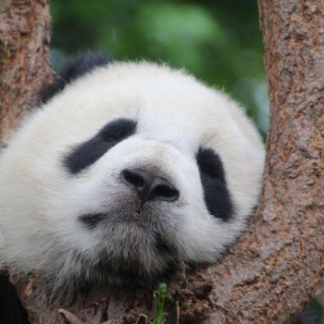 瞎扯 · 如何正确地吐槽