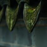 古代士兵的伙食如何？