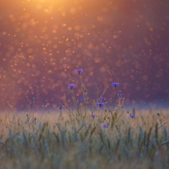 瞎扯 · 如何正确地吐槽