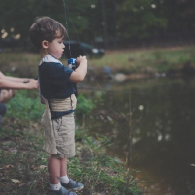 为什么钓鱼鱼竿这么讲究，直接拿根硬棍子，咬钩了往上提不就完了，谁能解释一下？