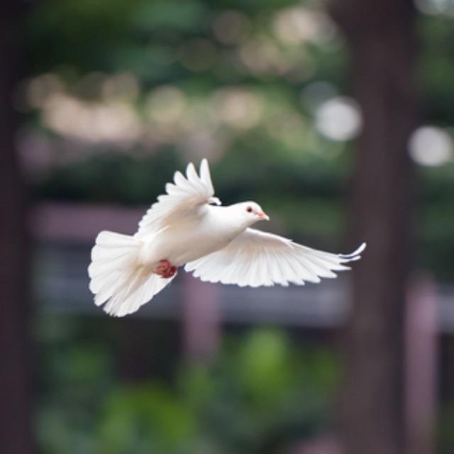 瞎扯 · 如何正确地吐槽