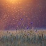 瞎扯 · 如何正确地吐槽