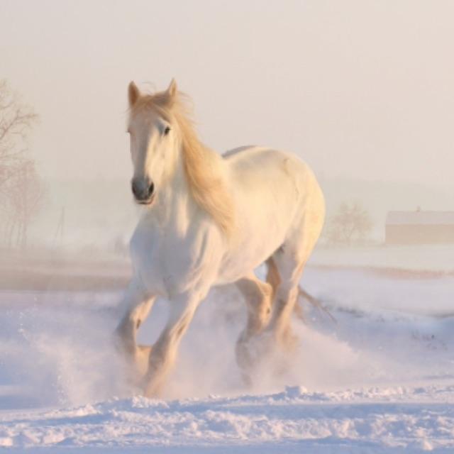 花木兰是否真实存在？