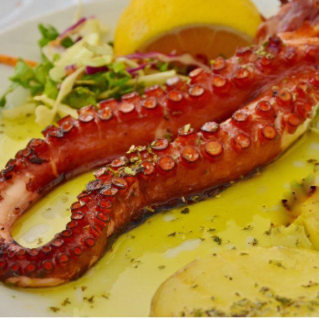 章鱼有两个记忆系统，三颗心脏，九个脑袋，可章鱼为何沦落成了人类烧烤摊的美味担当呢？章鱼是演化物种吗？