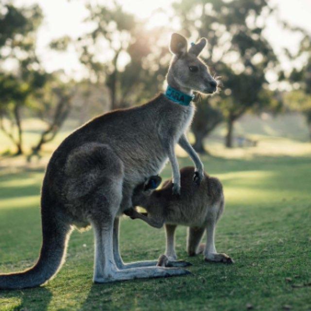 瞎扯 · 如何正确地吐槽