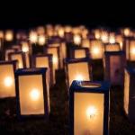 怎样证明光既是粒子又是波？