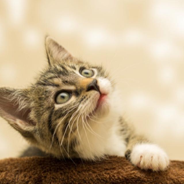 瞎扯 · 如何正确地吐槽