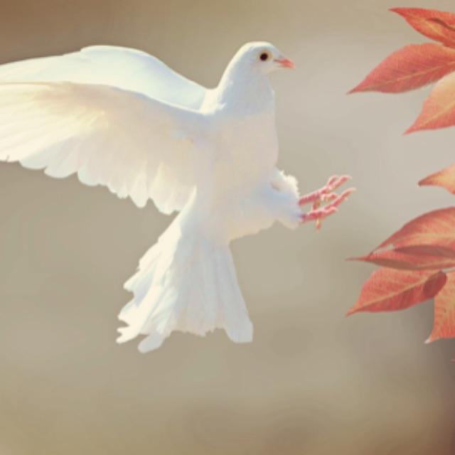 中国有哪些特有物种?