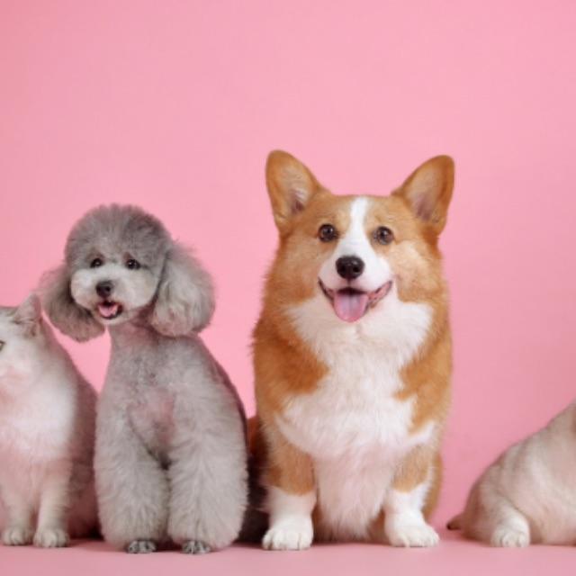 瞎扯 · 如何正确地吐槽