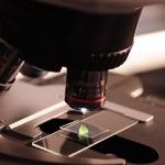 到底什么是氢键？