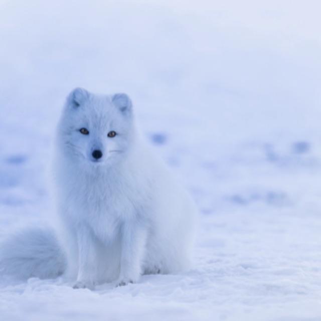 只有地球会下雪吗,宇宙中还有其他星球会下雪吗?