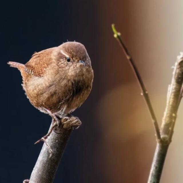 瞎扯 · 如何正确地吐槽