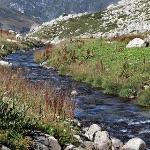 古代有的朝代战乱多赋税重，为什么大多数人不去人烟稀少的地方生活？