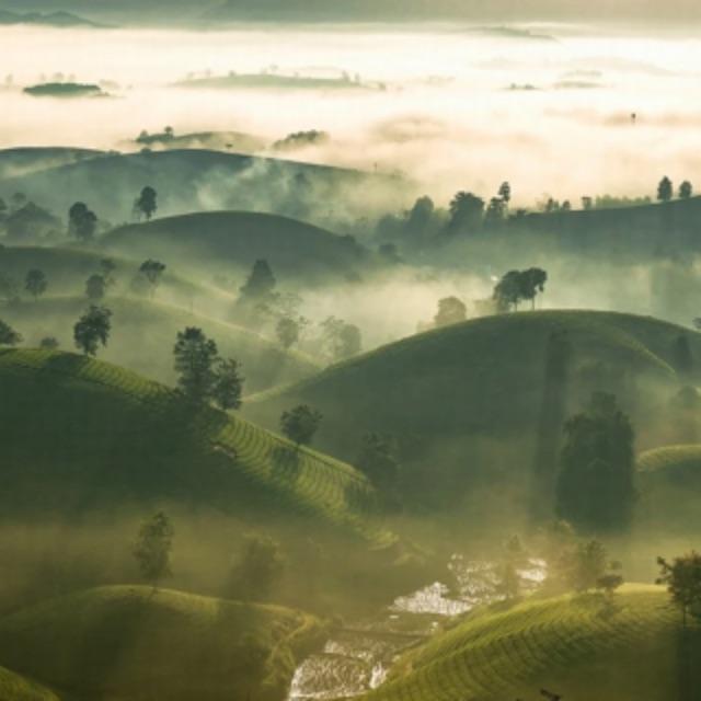 在中国古代,破产的男人的侍妾如何自处?