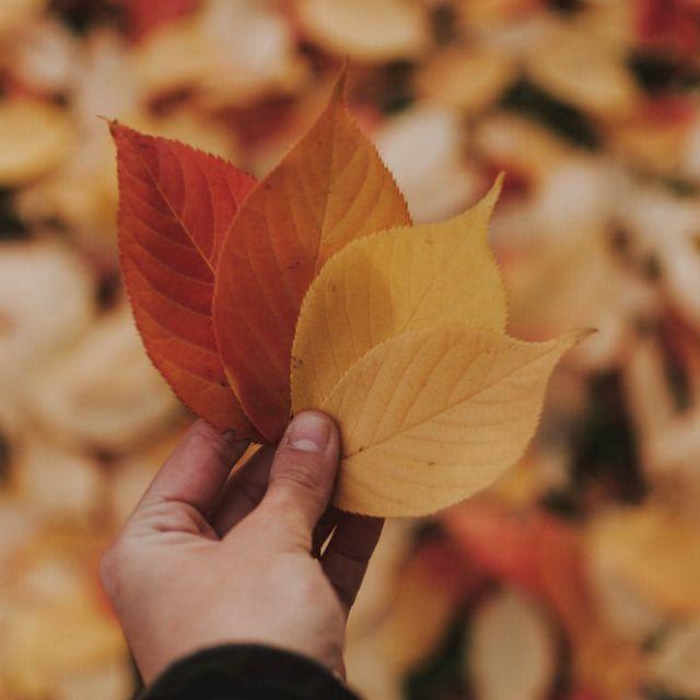 小事 ·「谢谢,这歌儿真好听,谢谢。」