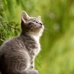 瞎扯 · 如何正确地吐槽