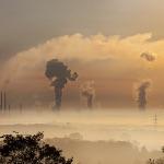 「有」字的字源是什么？