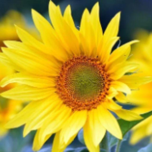 瞎扯 · 如何正确地吐槽