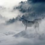 日本文明历史中是否存在灭绝过的独有物种？