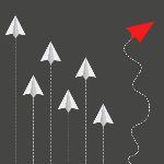 为什么飞机在飞行时遇到小鸟会机毁人亡？