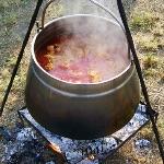 虾为啥要长得这么适合被吃？