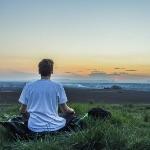 人的意识究竟是怎么产生的？