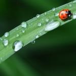 与人类亲缘关系最远的是什么生物？