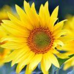 瞎扯 · 如何正确地吐槽