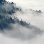 中国古代传说中有哪些鬼怪？是否有类似日本「百鬼夜行」一样的体系？