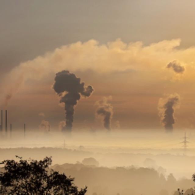 「有」字的字源是什么？