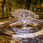 为什么电解稀硫酸的实质是电解水？