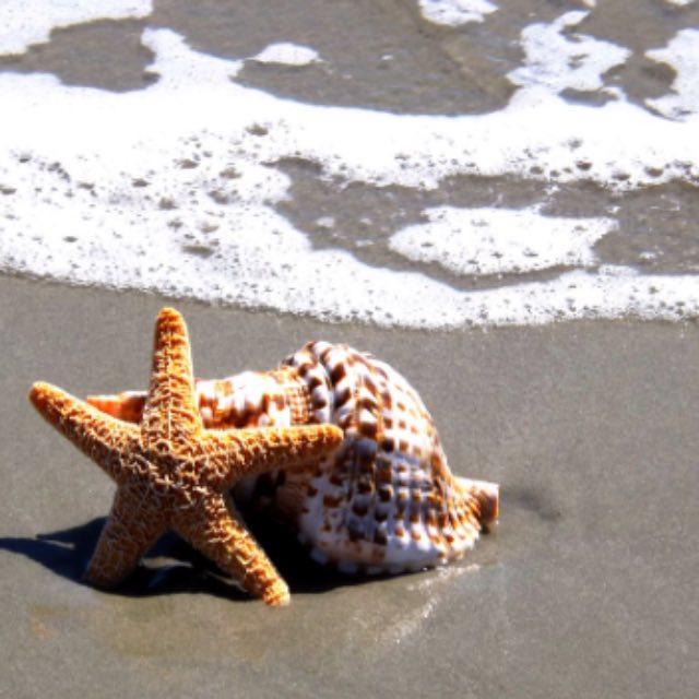 春秋战国的君主到底「姓」什么？