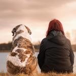 小事 · 「去吧。」