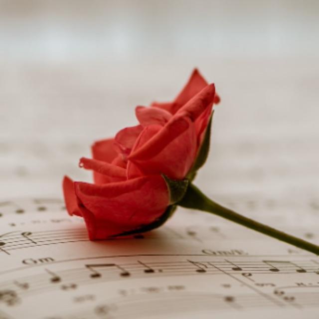 瞎扯 · 如何正确地吐槽