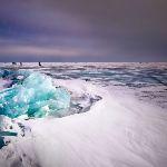 为什么贝加尔湖会有海洋生物呢？