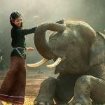 为什么史前动物巨大，而现代动物都不是很大？