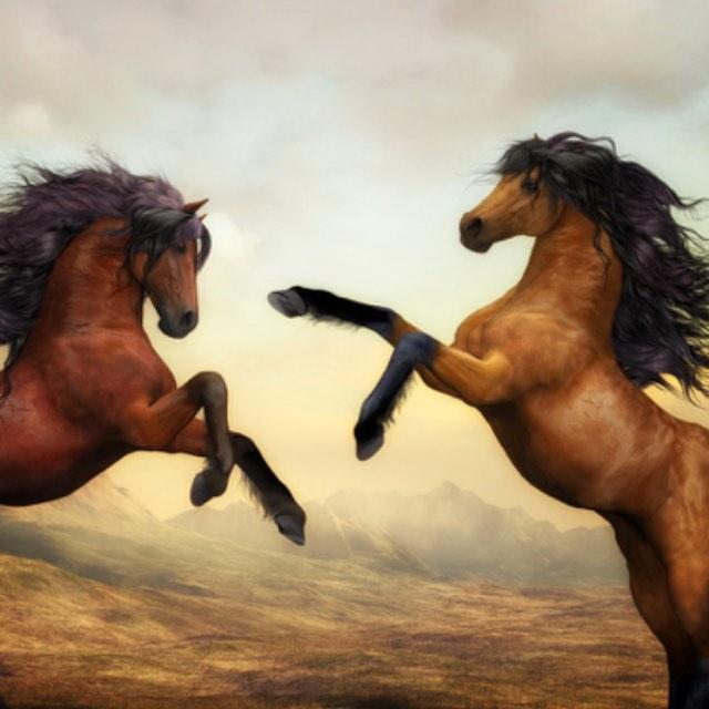 花木兰中为什么是「可汗大点兵」？