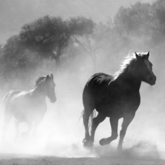 三国中蜀国算不算是穷兵黩武？