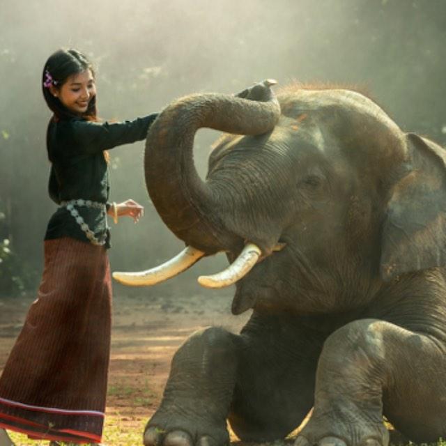 为什么史前动物巨大，而现代动物都不是很大？