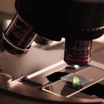 化合价的本质是什么？