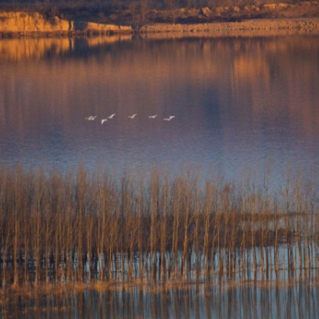 长江和黄河完全在中国境内有什么意义？