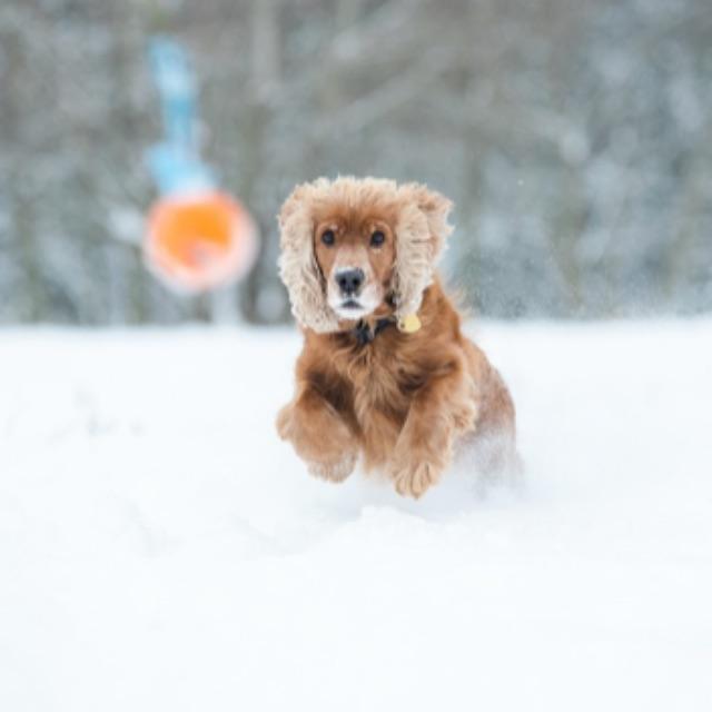 为什么保留黑历史？