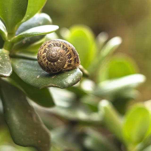 小事 · 植物养了很久是什么体验？